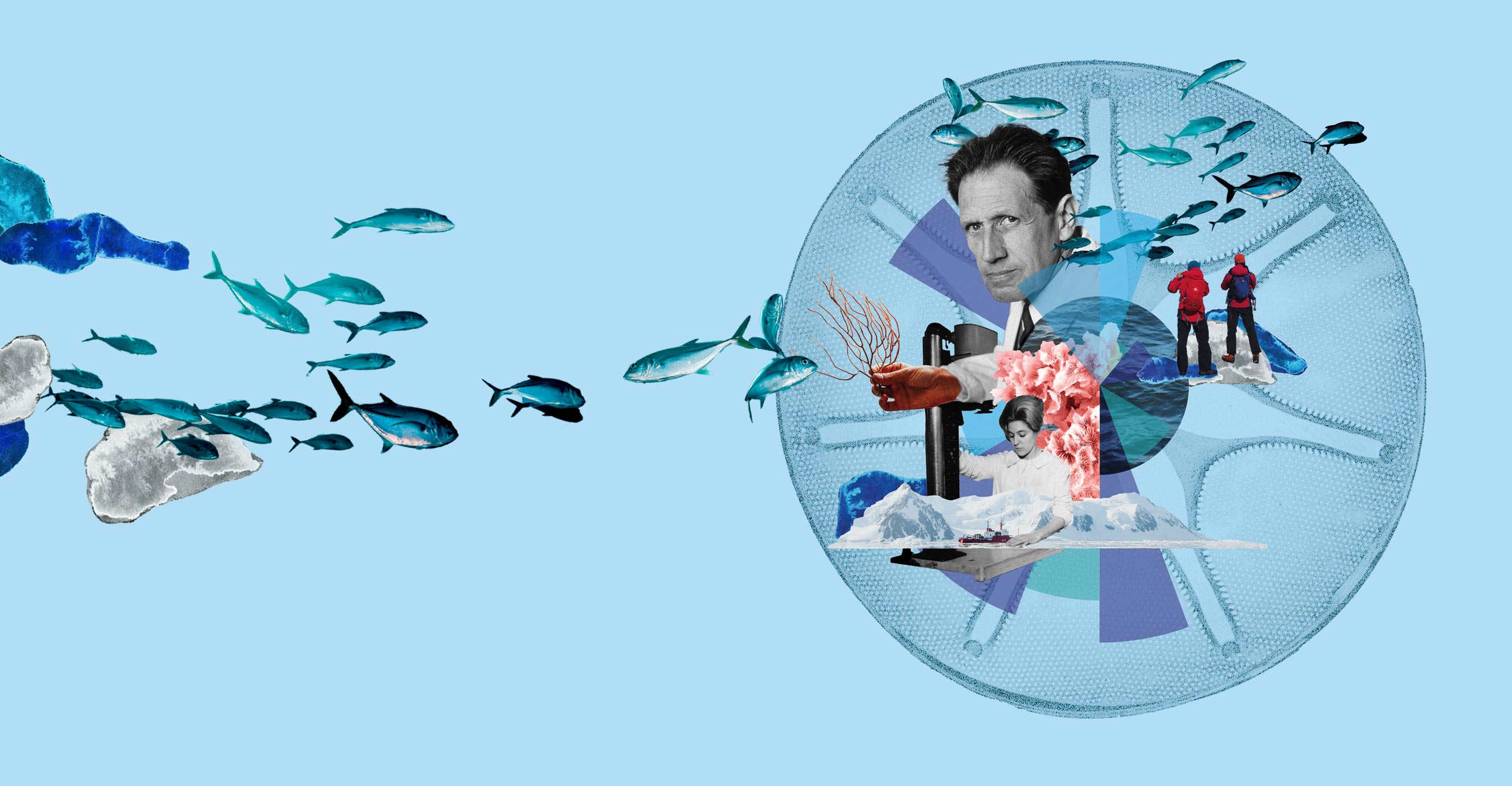 icm memoria anual 2024