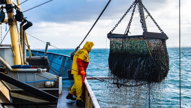 The decision goes against international agreements aimed at guaranteeing the health of the ocean The decision goes against international agreements aimed at guaranteeing the health of the ocean