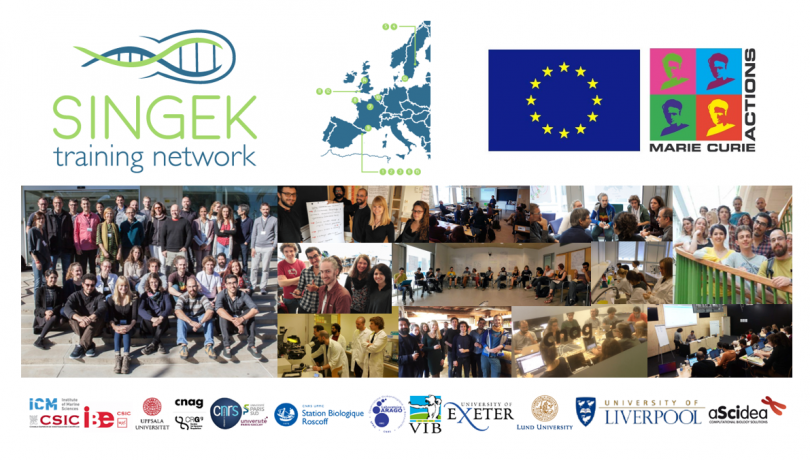 SINGEK was awarded with 3.9 million Euros under the H2020 Framework Program / ICM-CSIC