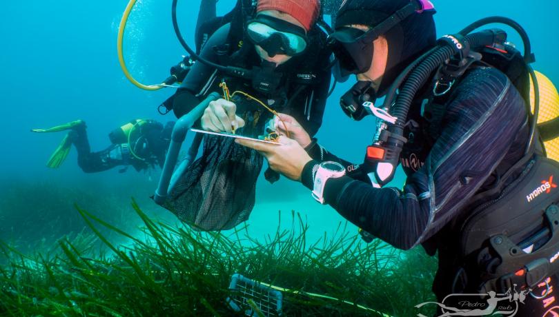 Citizen science has proven successful in many projects in all seas of the world / Toni Riera. Citizen science has proven successful in many projects in all seas of the world / Toni Riera.