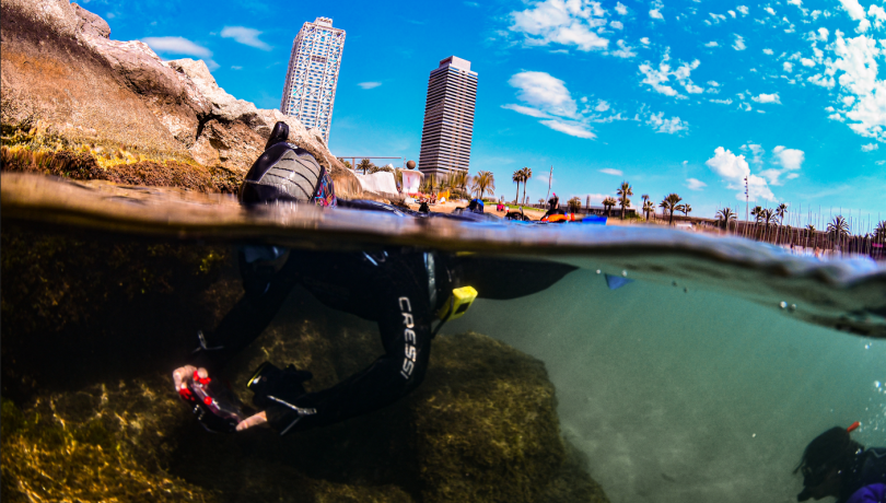 Ocean Cities Month aims to strengthen the link between citizens and the sea/EMBIMOS Group. Ocean Cities Month aims to strengthen the link between citizens and the sea/EMBIMOS Group.