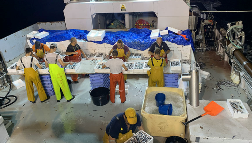 Pesca de cèrcol