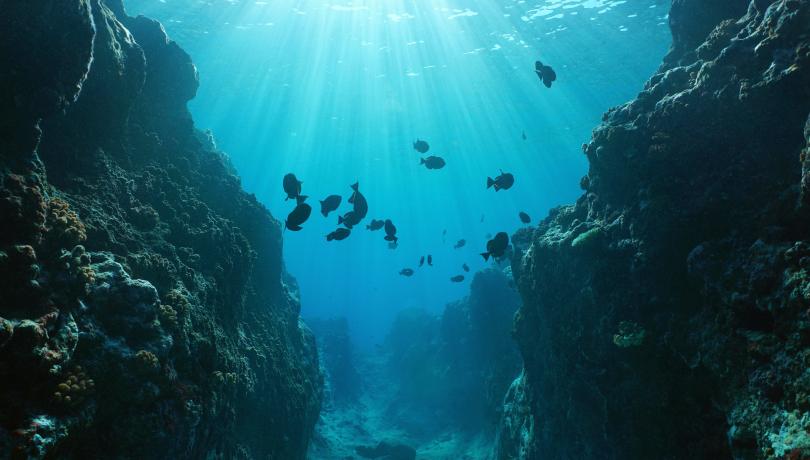 Maritime planning can become a cornerstone of global ocean-based climate action / iStock. Maritime planning can become a cornerstone of global ocean-based climate action / iStock.