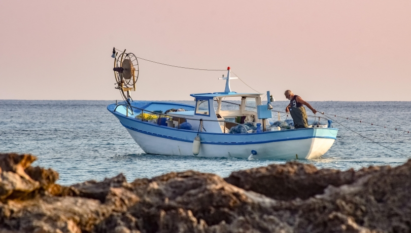 El proyecto MARVEL cuenta con la colaboración de la Dirección General de Política Marítima y Pesca Sostenible de la Generalidad de Cataluña / Dimitri Stvetsikas (Pixabay).
