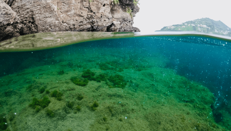 The ‘natural respirators’ of Ischia (Italy) are coastal areas where volcanic CO₂ bubbles naturally lower the pH of the water / Jérémy Carlot.
