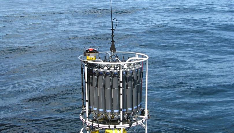 Científics del CSIC detecten increments inesperats de carboni orgànic dissolt en l'oceà Atlàntic