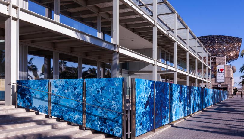 El CMIMA apuesta por el arte científico para su edificio