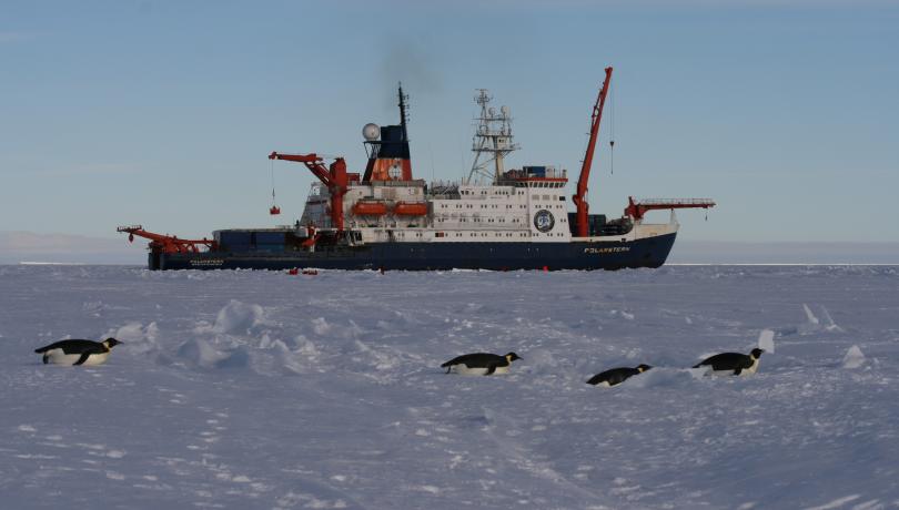 El ICM y CosmoCaixa Barcelona se unen en la gran cita internacional de la investigación antártica.