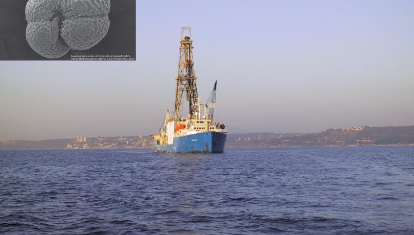 The analysis of microfossils from marine sediments indicates that the deep ocean would have been a potential CO2 storage during the last glacial