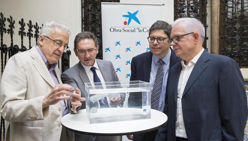 El ICM participa en un programa pionero para prevenir y minimizar las repercusiones clínicas y socioeconómicas de las medusas en el Mediterráneo