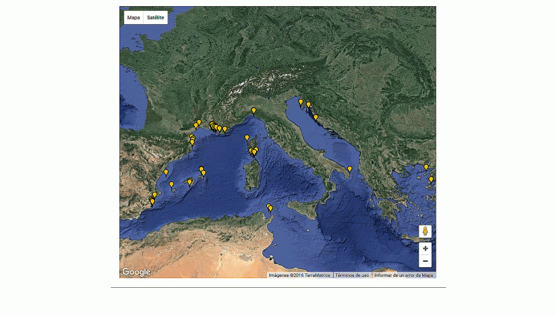 Projects related to the climate change at the ICM