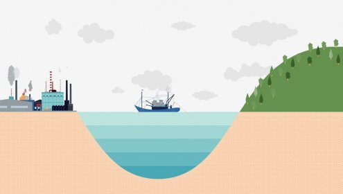 Mer-Club project infography