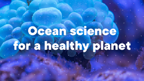 "Ocean science for a healthy planet" ICM's motto