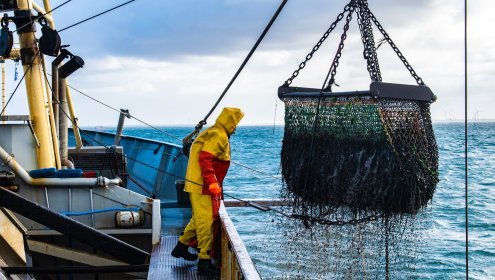 The decision goes against international agreements aimed at guaranteeing the health of the ocean