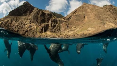 According to experts, 30% of the planet needs to be protected to deal with the climate crisis / Enric Sala (National Geographic) / 