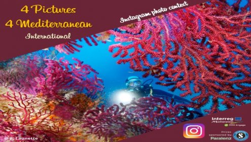 The competition invites you to send photographs taken in any of the marine protected areas of the Mediterranean.