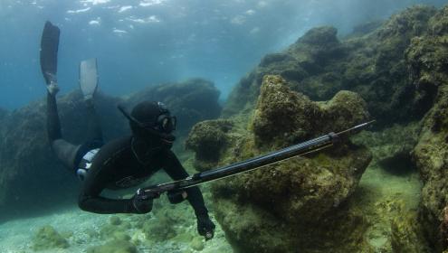 Recreational fishing is an important source of data for researchers / David Mandos