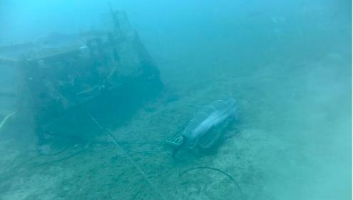 The body has been sunk in front of the OBSEA surveillance camera / Youtube