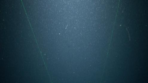 Marine snow 'flakes' change as they fall and can take weeks to reach the seabed / ICM-CSIC