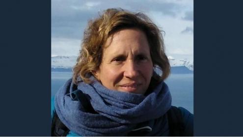 The researcher's mosaic experiment aims to improve emissivity models that will allow infer sea ice thickness / ICM-CSIC