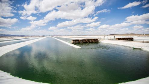 PRODIGIO will also help boost microalgae-based industries dedicated to the large-scale production of food, feed or fertilizers / Qualitas Health
