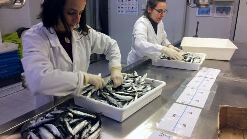 Renewable marine resources lab