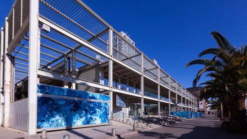 The ICM's membership of PROTECMA will allow the Institute to identify and consolidate synergies with public and private actors in the sector / ICM-CSIC