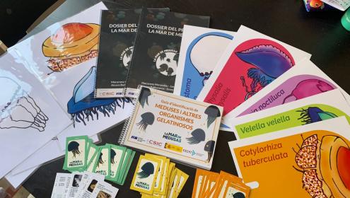 "La Mar de Medusas" has created games, species identification guides and protocols of action in case of stings / ICM-CSIC