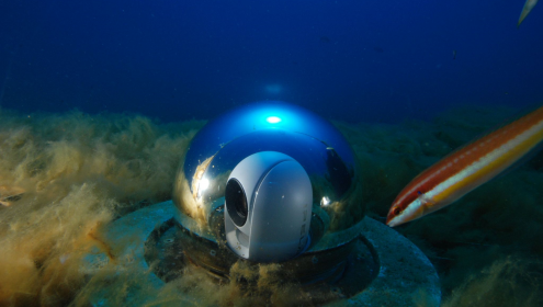 MINKE was granted last April and will run until March 2025 / OBSEA