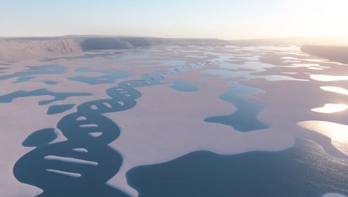 Marine microorganisms are the main drivers of global biogeochemical cycles / Original 3D artwork by SHOOK Studio. Copyright 2021 by SHOOK Studio. Posted with permission.