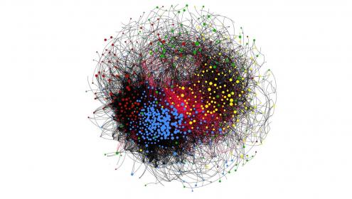 Microscopic ecological interactions are largely unknown because it is difficult to work at such small scales / ICM-CSIC.
