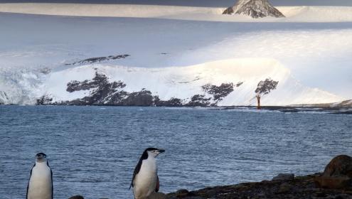 The authors warn that the presence of these microfibres of anthropogenic origin could affect the entire Antarctic ecosystem /  Gastón Alurralde.