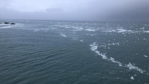 Knowing the salinity of the ocean is important for the development of climate models/ICM-CSIC.