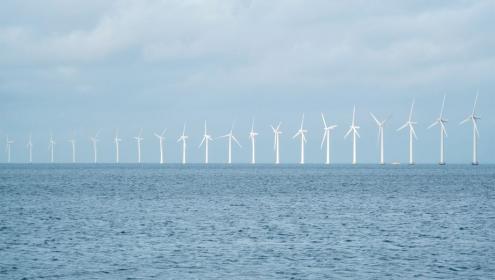 Experts claim that these installations could have "serious impacts" on marine biodiversity / Depositphotos