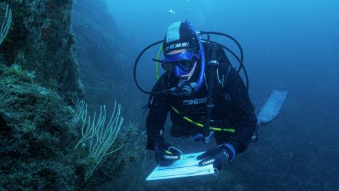 Observadors del Mar was created in 2012 and is celebrating its tenth anniversary this year / Joaquim Garrabou (ICM-CSIC).