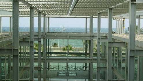 Institut de Ciències del Mar (ICM-CSIC) / Jordi Camp.