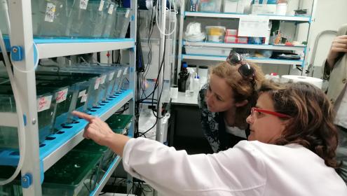 The president was interested in the research developed at the ICM-CSIC.