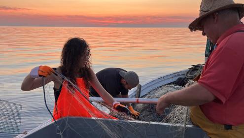 Abandoned fishing gear on the seabed is a threat to benthic species / ICM-CSIC.
