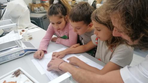 A dozen schools visited the Institute during the Jornadas de Puertas Abiertas / ICM-CSIC.