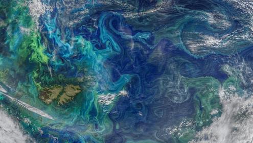 The image shows the concentration of microscopic algae (bluish and greenish tones) following the shapes of surface currents in the South Atlantic, as well as marine clouds, whose formation is driven by gas emissions produced by plankton / NASA.