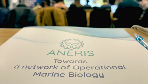 ANERIS will use genomics, imaging biology and citizen science for marine life monitoring / France-BioImaging Research Infrastructure.