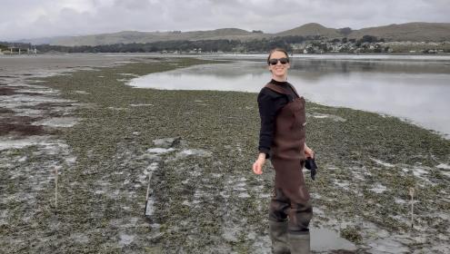 Aurora M Ricart has been studying kelp forests and seagrass meadows around the world for years / ICM-CSIC.
