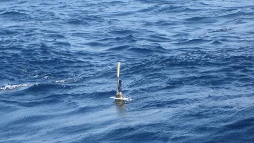 Drifting buoys are dragged by ocean currents and their direction and speed can be determined / Spanish Institute of Oceanography (IEO-CSIC).