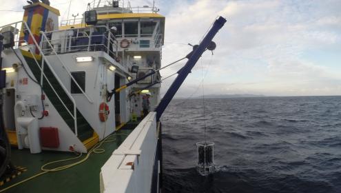 The increase in surface water temperature ranges from 2°C/century in the Alboran Sea to almost 3°C/century at some points along the Catalan coast / IEO-CSIC.
