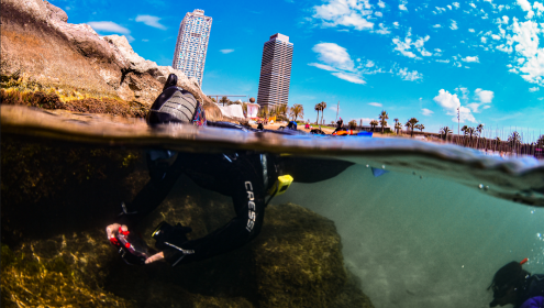 Ocean Cities Month aims to strengthen the link between citizens and the sea/EMBIMOS Group.