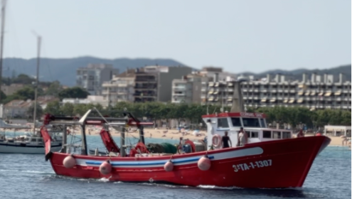 Starting in 2013, fishermen voluntarily reduced fishing effort and the engine power of the boats was limited / ICM-CSIC.