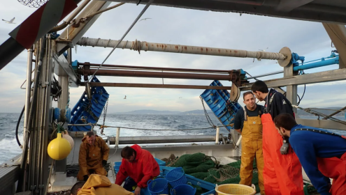 Among ICATMAR's objectives is to improve the management of fishery resources / UN Ocean Decade.