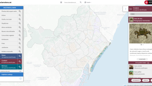 The publication of the new categories of crustaceans and molluscs shows that the Barcelona coastline contains a great wealth of biodiversity, despite the anthropic pressure / Barcelona City Council.