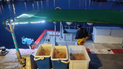Apart from research and conservation actions, the project promotes the participatory management of fishermen / LIFE ECOREST.
