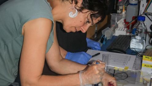 In the picture, Marta divides the filters of the filtration pumps to measure DNA, sedimentation flow or carbon concentration / ICM-CSIC.